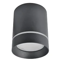 Светильник накладной LED Elle A1949PL-1BK Arte Lamp чёрный 1 лампа, основание чёрное в стиле современный круглый