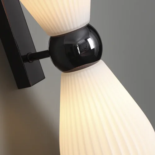 Бра Elica 5418/2W Odeon Light белый на 2 лампы, основание чёрное в стиле современный  фото 5