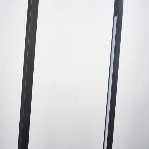 Светильник подвесной LED Castled 4009-2P Favourite чёрный 2 лампы, основание чёрное в стиле современный  фото 7