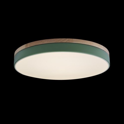 Светильник потолочный LED Axel 10001/36 Green LOFT IT белый 1 лампа, основание зелёное в стиле современный  фото 5