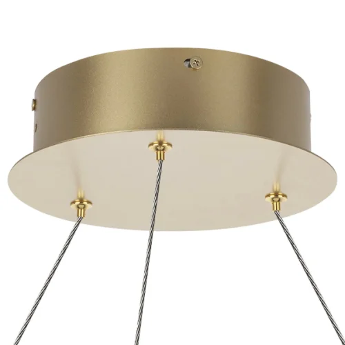 Люстра подвесная LED Rotonda 736333 Lightstar прозрачная золотая на 1 лампа, основание золотое в стиле современный хай-тек кольца фото 2