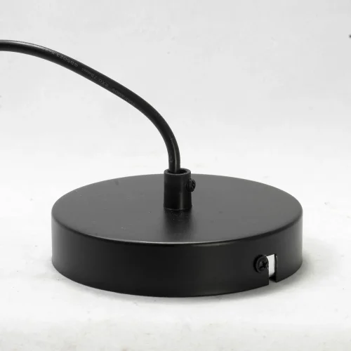 Светильник подвесной лофт Badger GRLSP-9540 Lussole чёрный 1 лампа, основание чёрное в стиле лофт  фото 5