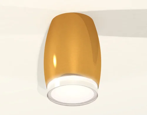 Светильник накладной Techno spot XS1125021 Ambrella light золотой жёлтый 1 лампа, основание золотое жёлтое в стиле современный круглый фото 3