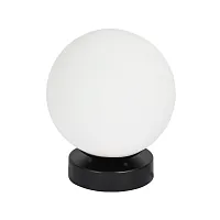 Светильник потолочный Alcor A2224PL-1BK Arte Lamp белый 1 лампа, основание чёрное в стиле современный шар