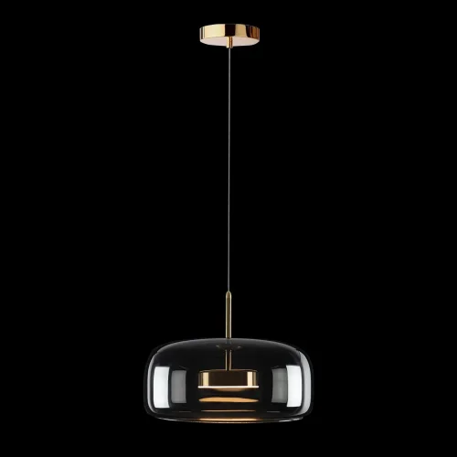 Светильник подвесной LED Dauphin 10041B LOFT IT чёрный 1 лампа, основание золотое в стиле современный выдувное фото 2