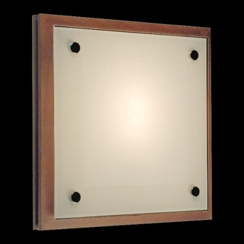 Светильник настенно-потолочный CL938541 Citilux белый 4 лампы, основание коричневое в стиле современный квадраты