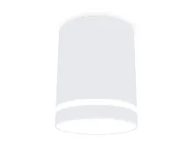 Светильник накладной TN3202 Ambrella light белый 1 лампа, основание белое в стиле современный круглый
