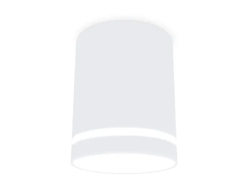 Светильник накладной TN3202 Ambrella light белый 1 лампа, основание белое в стиле современный круглый