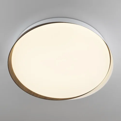 Светильник потолочный LED RGB с пультом Bonny CL754450G Citilux белый 1 лампа, основание белое в стиле современный хай-тек круглый с пультом фото 4