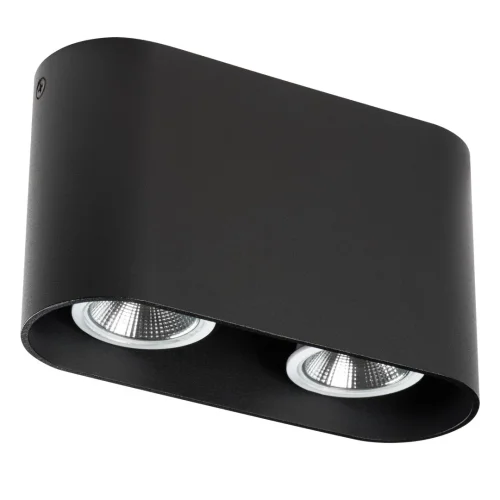 Светильник накладной Rullo 214867 Lightstar чёрный 2 лампы, основание чёрное в стиле современный овал фото 2