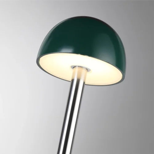 Ландшафтный светильник LED Verde 7122/4GL Odeon Light уличный IP65 чёрный серый на 1 лампу, плафон зелёный в стиле хай-тек LED фото 3