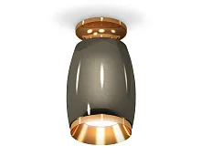 Светильник накладной Techno spot XS1123043 Ambrella light чёрный 1 лампа, основание золотое в стиле хай-тек модерн круглый