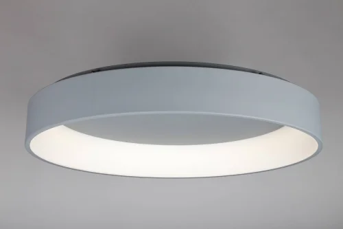 Люстра с пультом LED Ortueri OML-48517-96 Omnilux белая на 1 лампу, основание серое в стиле хай-тек с пультом фото 3