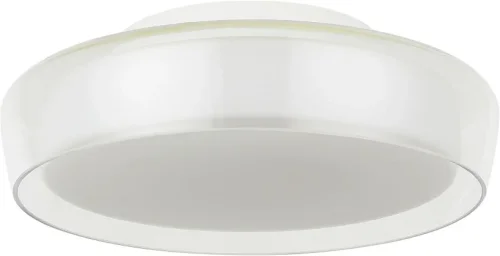 Светильник потолочный LED Ipstat 4027/00/01C-IP Stilfort белый на 1 лампу, основание белое в стиле современный 