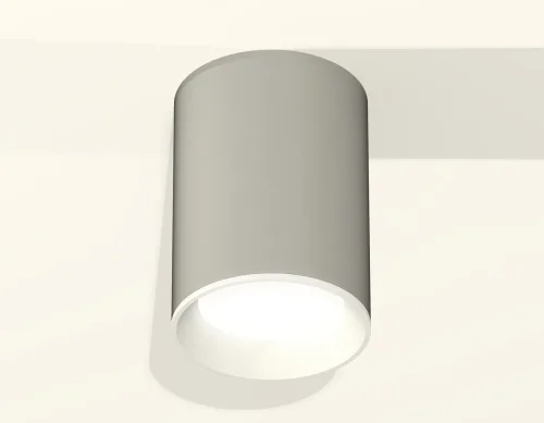 Светильник накладной Techno spot XS6314001 Ambrella light серый 1 лампа, основание серое в стиле современный круглый фото 3