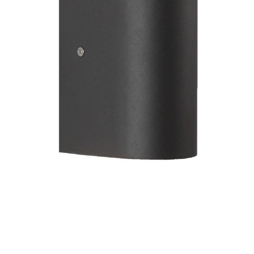 Настенный светильник Tend 3026-2W Favourite уличный IP44 чёрный 1 лампа, плафон чёрный в стиле современный LED фото 2