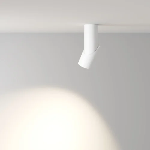 Светильник накладной LED Dafne C027CL-L10W4K Maytoni белый на 1 лампу, основание белое в стиле современный хай-тек круглый фото 4
