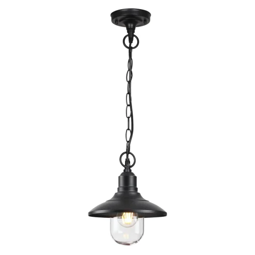Подвесной светильник Campa 4965/1 Odeon Light уличный IP44 чёрный 1 лампа, плафон прозрачный в стиле классический E27 фото 2