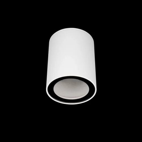 Светильник накладной Rush 10344 White LOFT IT белый 1 лампа, основание белое в стиле современный хай-тек трубочки фото 2