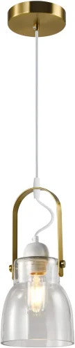 Светильник подвесной Terni V10454-1P Moderli прозрачный 1 лампа, основание золотое в стиле современный лофт 