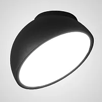 Светильник потолочный SELDEN D20 Black 208114-23 ImperiumLoft чёрный 1 лампа, основание чёрное в стиле современный 