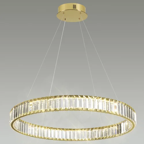 Светильник подвесной LED Vekia 5015/45L Odeon Light прозрачный 1 лампа, основание золотое в стиле современный кольца фото 4