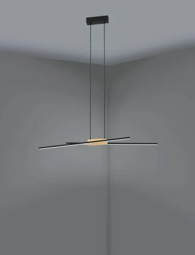Светильник подвесной LED Panagria 900489 Eglo чёрный на 2 лампы, основание чёрное в стиле современный хай-тек фото 5