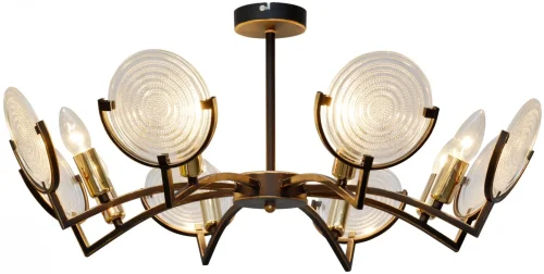 Люстра потолочная Roxana TL1194X-08BK Toplight прозрачная на 8 ламп, основание чёрное в стиле современный 