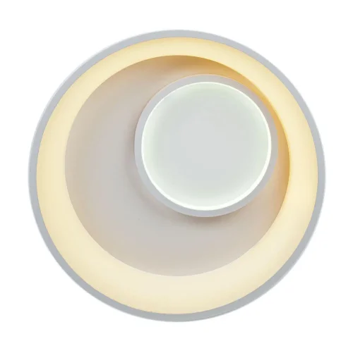 Светильник потолочный LED с пультом 10207/2LED Escada белый на 1 лампу, основание белое в стиле хай-тек с пультом фото 4