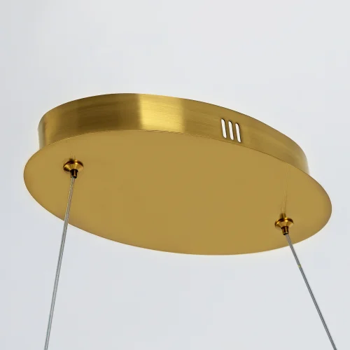 Светильник подвесной LED с пультом Skatt CL213132 Citilux прозрачный на 1 лампу, основание латунь в стиле хай-тек современный с пультом фото 5