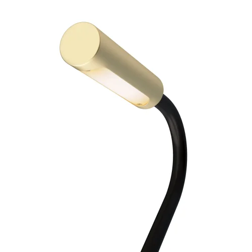 Бра с выключателем LED Stem C035WL-L3MG3K Maytoni матовый золото на 1 лампа, основание матовое золото в стиле  для чтения гибкая ножка фото 3