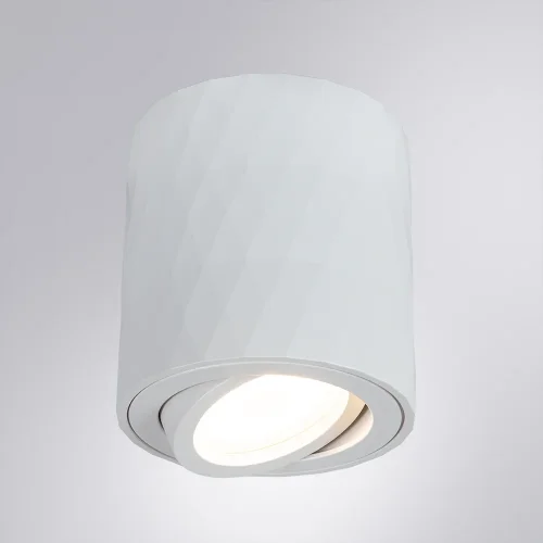 Светильник накладной Fang A5559PL-1WH Arte Lamp белый 1 лампа, основание белое в стиле современный круглый фото 4