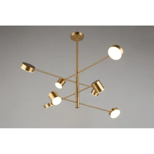 Люстра потолочная LED Frania APL.017.17.48 Aployt белая на 1 лампу, основание бронзовое в стиле современный фото 2