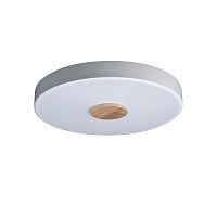 Светильник потолочный LED Axel 10003/24 White LOFT IT купить, отзывы, фото, быстрая доставка по Москве и России. Заказы 24/7