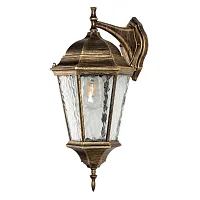 Настенный светильник Genova A1204AL-1BN Arte Lamp уличный IP44 коричневый золотой 1 лампа, плафон прозрачный в стиле современный E27
