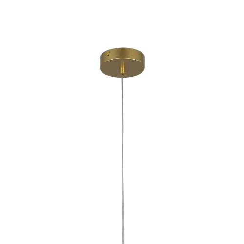 Светильник подвесной Merger 2922-1P F-promo прозрачный латунь 1 лампа, основание латунь в стиле современный трубочки фото 4