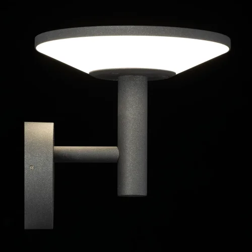 Настенный светильник уличный LED Dorn CLU05W Citilux уличный IP65 графит на 1 лампу, плафон графит в стиле современный LED фото 6