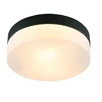 Светильник потолочный Aqua-Tablet A6047PL-2BK Arte Lamp белый 2 лампы, основание чёрное в стиле современный 