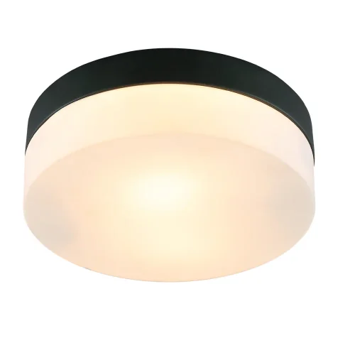 Светильник потолочный Aqua-Tablet A6047PL-2BK Arte Lamp белый 2 лампы, основание чёрное в стиле современный 