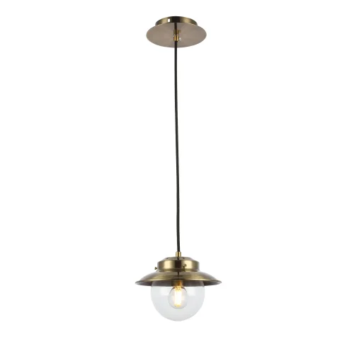 Светильник подвесной Garonni SLE110103-01 Evoluce прозрачный 1 лампа, основание античное бронза в стиле современный 