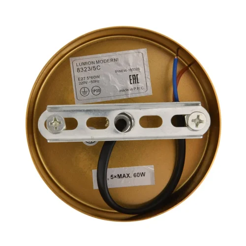 Люстра на штанге Larina 8323/5C Lumion белая на 5 ламп, основание латунь в стиле классический фото 6