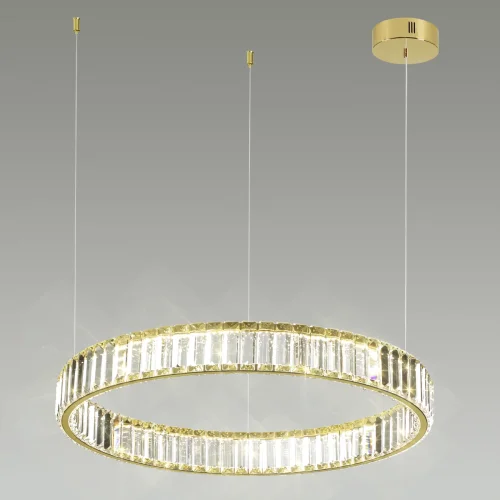 Светильник подвесной LED Vekia 5015/36L Odeon Light прозрачный 1 лампа, основание золотое в стиле современный кольца фото 4