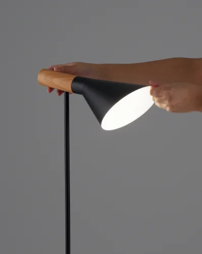 Торшер Turin V11334-1F Moderli чёрный на 1 лампу, основание чёрное в стиле современный скандинавский хай-тек кантри фото 8 Торшер Turin V11334-1F Moderli чёрный на 1 лампу, основание чёрное в стиле современный скандинавский хай-тек кантри фото 8