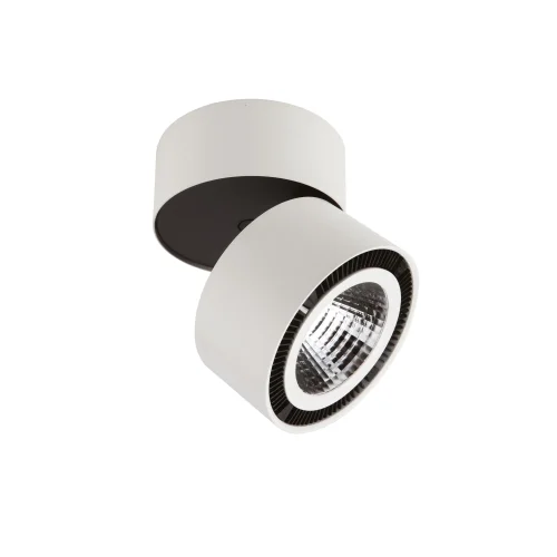 Светильник накладной LED FORTE MURO 213850 Lightstar белый 1 лампа, основание белое в стиле хай-тек круглый
