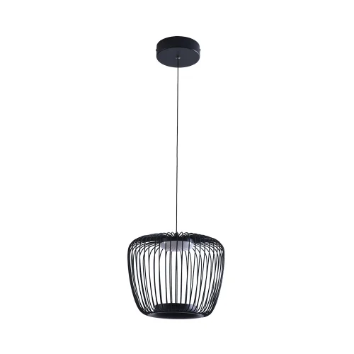 Светильник подвесной LED Flare A3529SP-12BK Arte Lamp чёрный на 1 лампу, основание чёрное в стиле хай-тек современный 