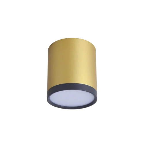 Светильник накладной LED Baral 3082-1C Favourite золотой 1 лампа, основание золотое в стиле современный круглый фото 2