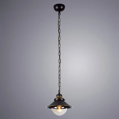 Светильник подвесной лофт Grazioso A4577SP-1CK Arte Lamp прозрачный коричневый 1 лампа, основание коричневое в стиле лофт  фото 2