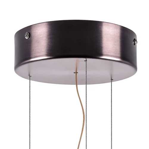 Светильник подвесной LED Celesta 809210 Lightstar прозрачный 1 лампа, основание коричневое бордовое в стиле американский  фото 5