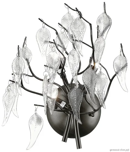 Бра Daniela WE182.03.021 Wertmark прозрачный на 3 лампы, основание чёрное в стиле флористика современный ветви