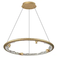 Светильник подвесной LED с пультом Cayon 7002/55L Odeon Light на 1 лампу, основание в стиле минимализм кольца с пультом